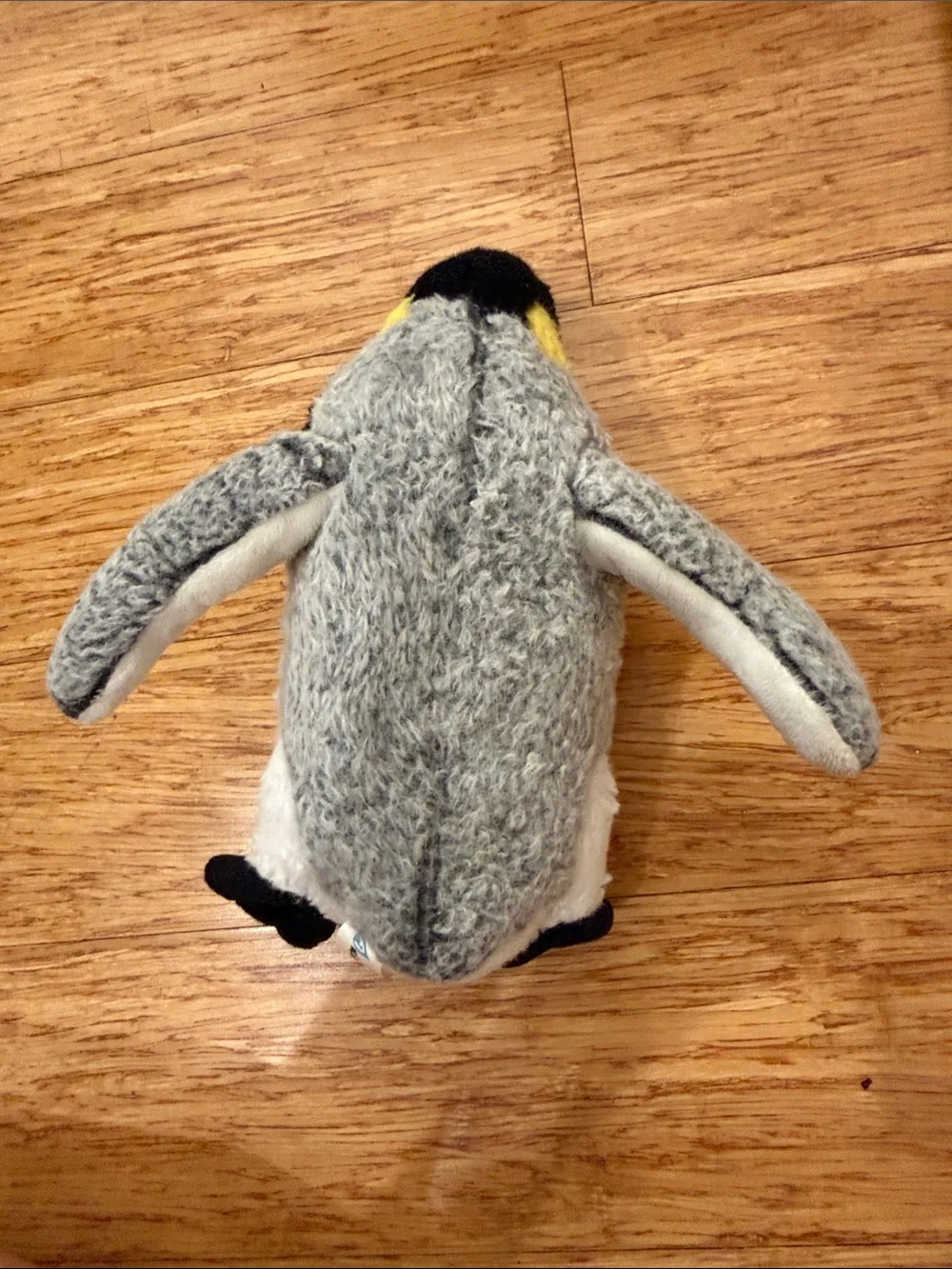 Plush Penguin Small Toy - Black, White & Yellow